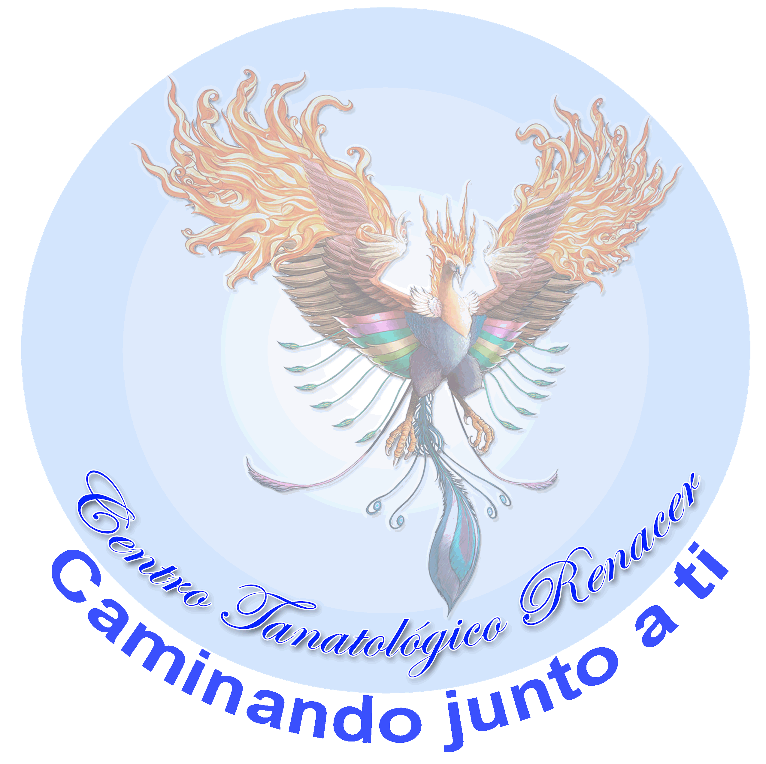 Logo2014.copia_circulo sin cuadro blanco.gif