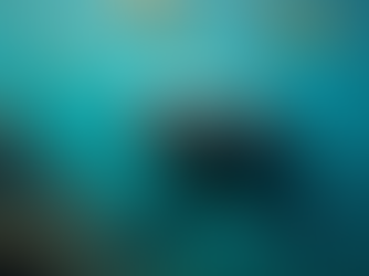 Top Galapagos Family Activities: Unforgettable Adventures for Everyone!