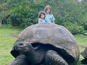 Giant tortoise with children