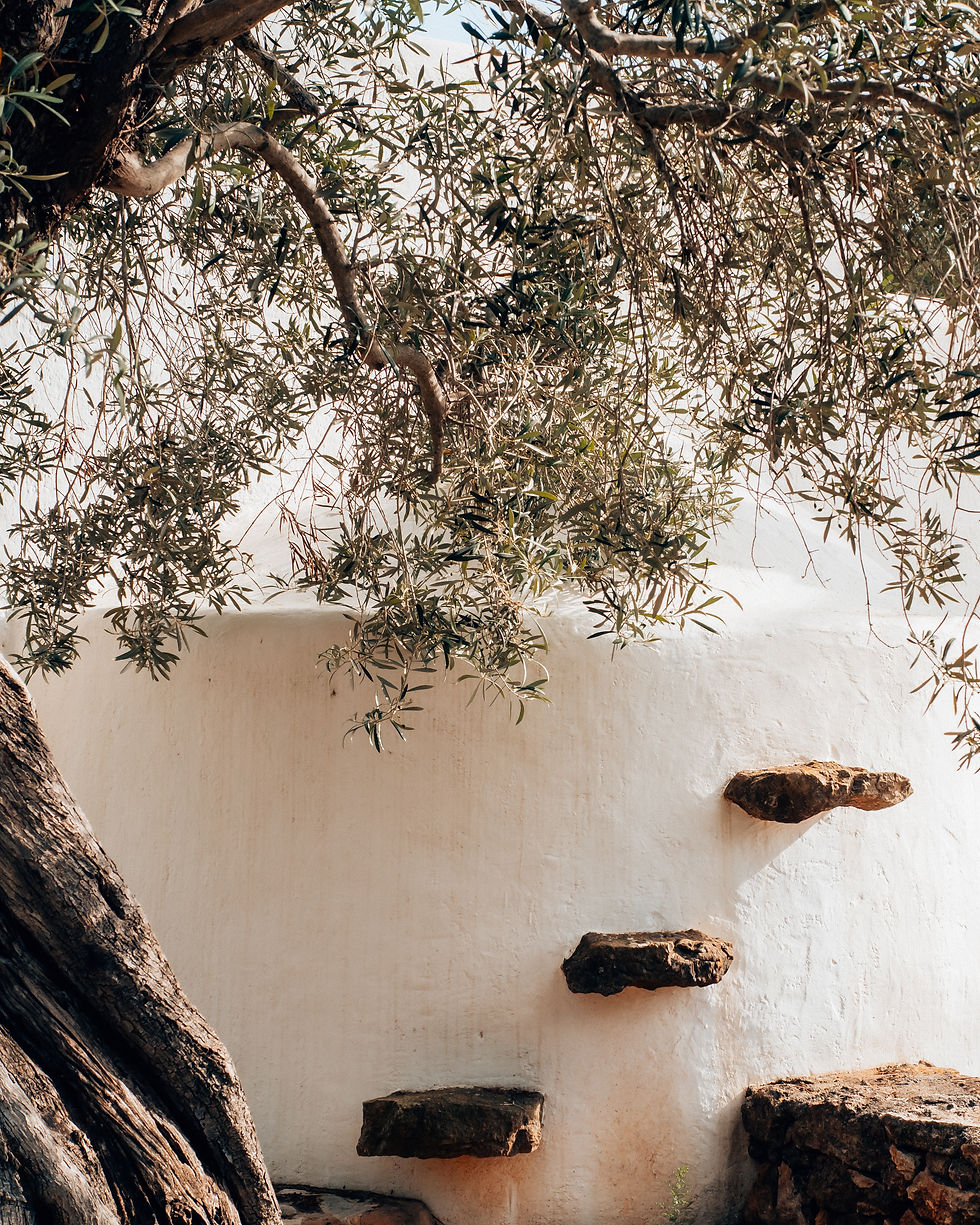 Casa La Siesta-32.JPG