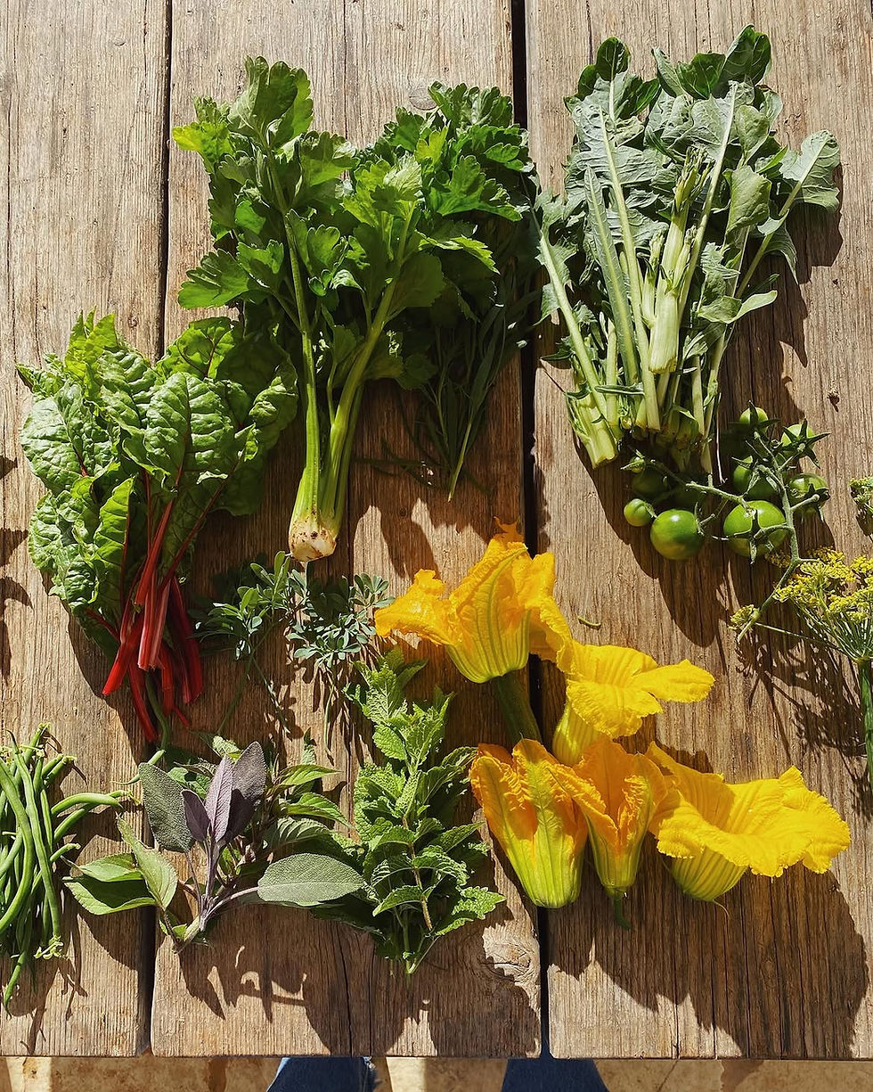 Freshly harvested vegetables, edible flowers and aromatic herbs gathered from a diverse culinary garden.