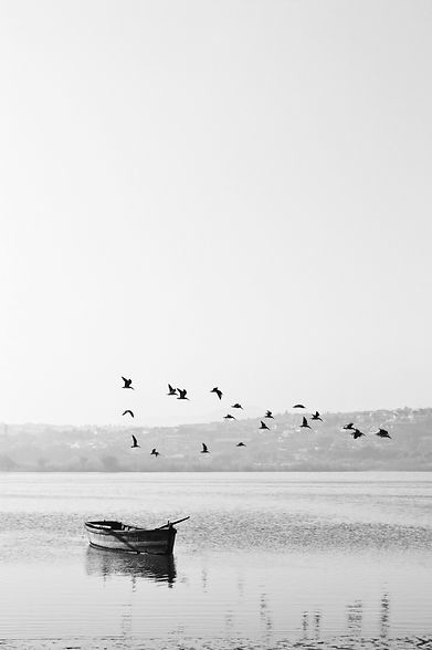 esteban-amaro-hy8y0Wp_Lp0-unsplash.jpeg