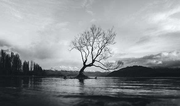 erico-marcelino-91QHQ3GGh9I-unsplash.jpeg