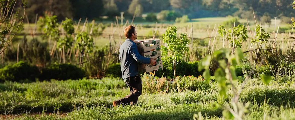 Juntos farm.webp
