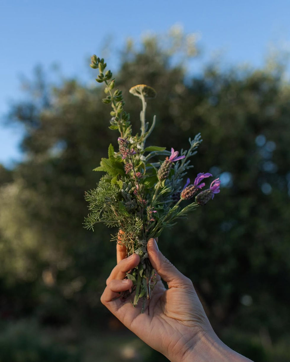 We are in love with herbs in all their expressions and nuances. They are fundamental in ou