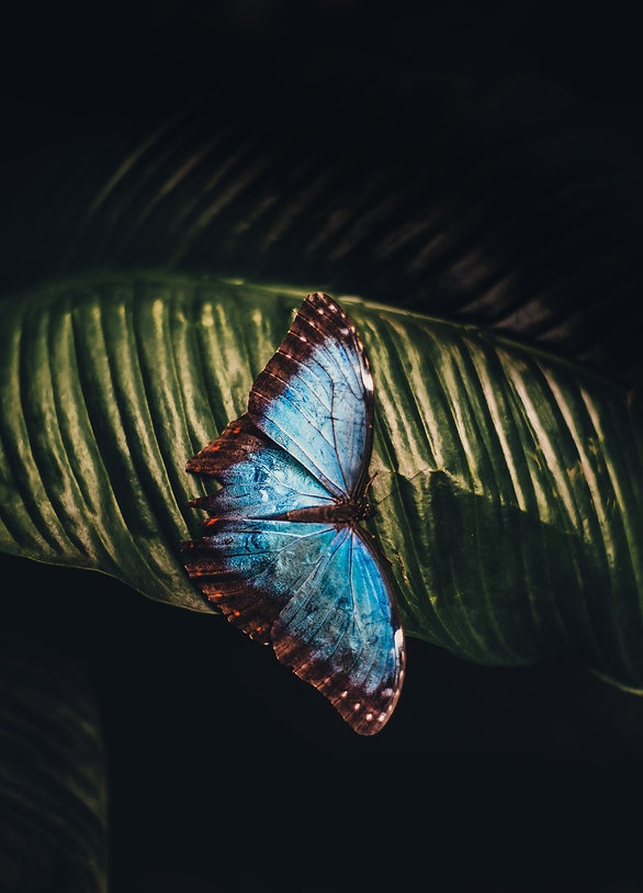annie-spratt-UNyv9app8mo-unsplash.jpeg