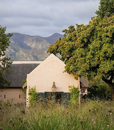 Sterrekopje The Soul Shed.jpg