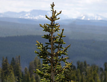 Photo by Jonathan Larson on Unsplash edi