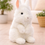 Thumbnail: Angora Rabbit Plush – Soft, Fluffy & Irresistibly Cute