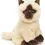 Thumbnail: Plush Siamese cat