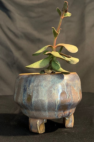 Plants and Pots