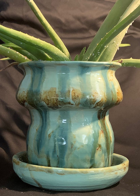 Plants and Pots