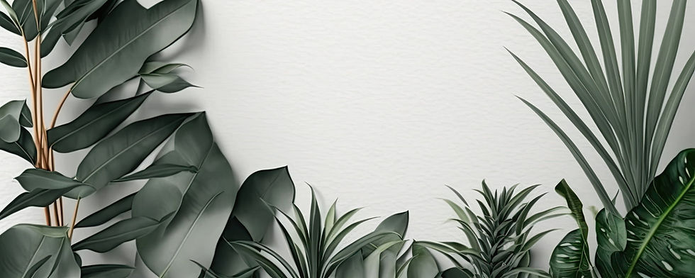 office plants