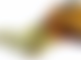 SPEDIZIONE DI ASSEGNO TRAMITE POSTA ORDINARIA: RESPONSABILITA' SE TERZI NE ENTRANO IN POSSESSO