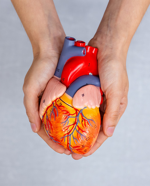 heart.jpg