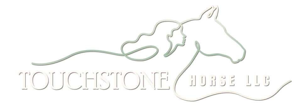 TOUCHSTONE HORSE LLC, Reconnect, Reflect, Realign. Welcome to Touchstone Horse, where we create powerful connections between