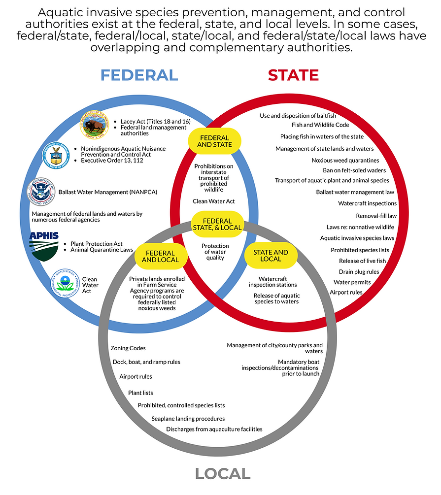 aisvenndiagram_48840342 (1).png