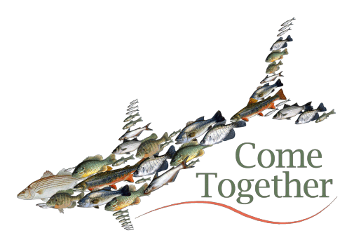 cometogether.gif