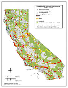 draft-caltrans-fish-passage-and-connecti
