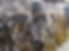 1_ORdockclose_OSU_0.jpg