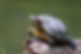 AdobeStock_520389856.jpeg