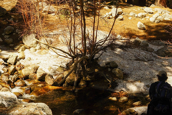 Fishing high altitude stream in California
