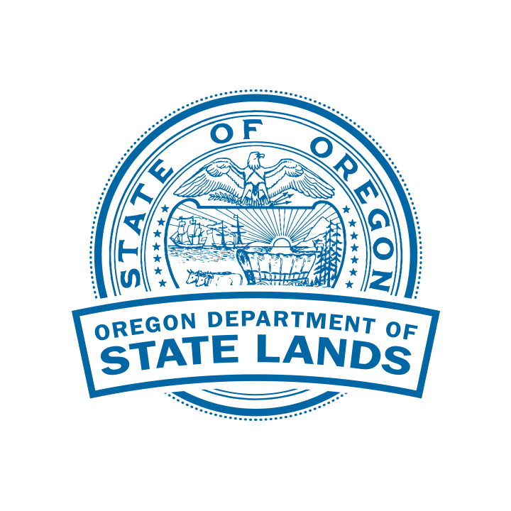 dsl logo