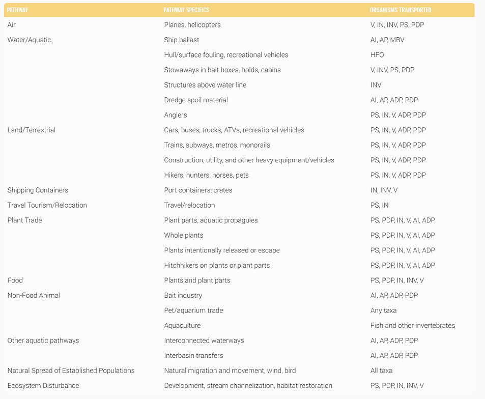 screencapture-editor-wix-html-editor-web-renderer-edit-04816a7b-c158-4a8b-8ecd-08f50c07a33