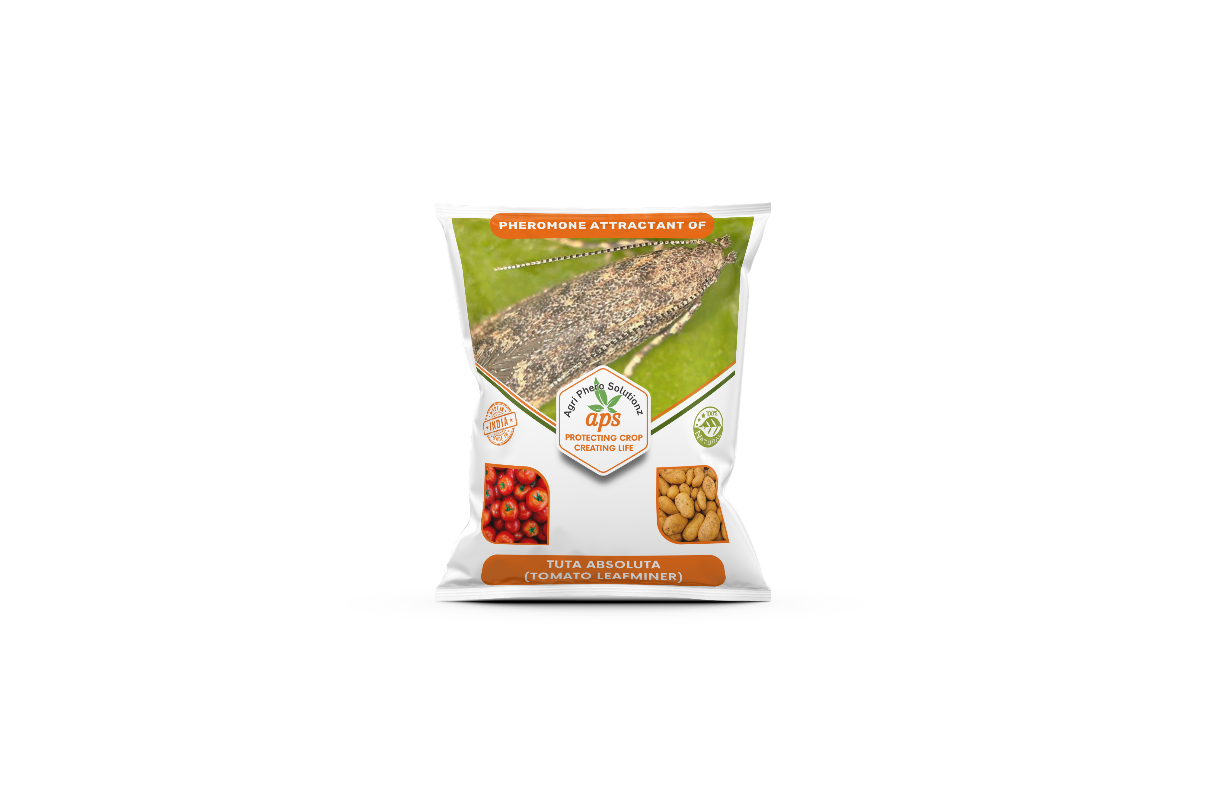 Tuta absoluta (Tomato leafminer)