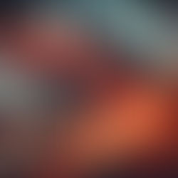 Technical Analysis of a Stock Market Crash