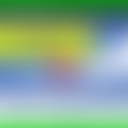 Equity Peaks in Four Portfolios and What to Trade Now?