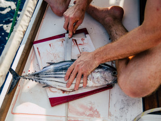 The fillet station on Anjo. Burnett will have a more dedicated space for cleaning fish.