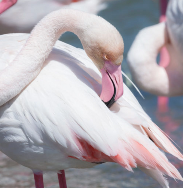 Capture d’écran 2025-08-05 à 17.09.36.png