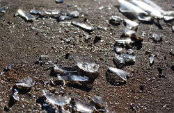 filepicker_6anza3iXQKyKZH7nqcAe_broken_glass_on_the_floor.jpg