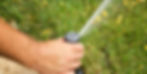 ree