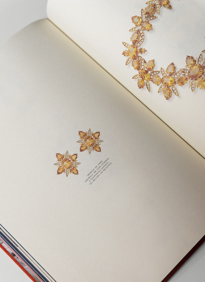 Livro HStern Metamorfose por Lucas Cobucci