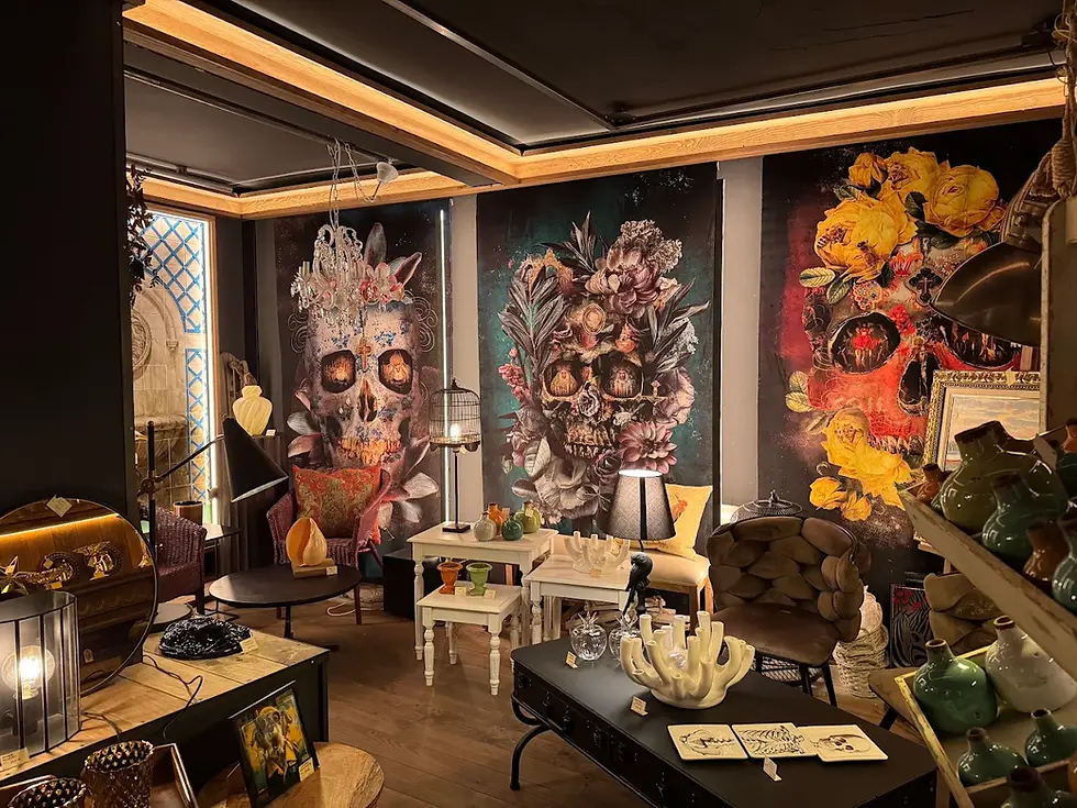 tienda angel studio