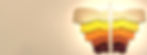 Borboleta.jpg