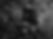 DYR_4056-topaz-rawdenoise-sharpen.jpg