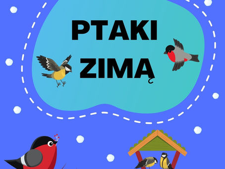 PTAKI ZIMĄ - plansze, cyfry, karty pracy, medale, grafomotoryka