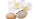 Doshas (5)_edited.png