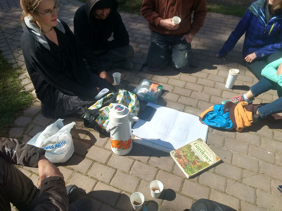 Social justice and permaculture: creating inclusive solutions