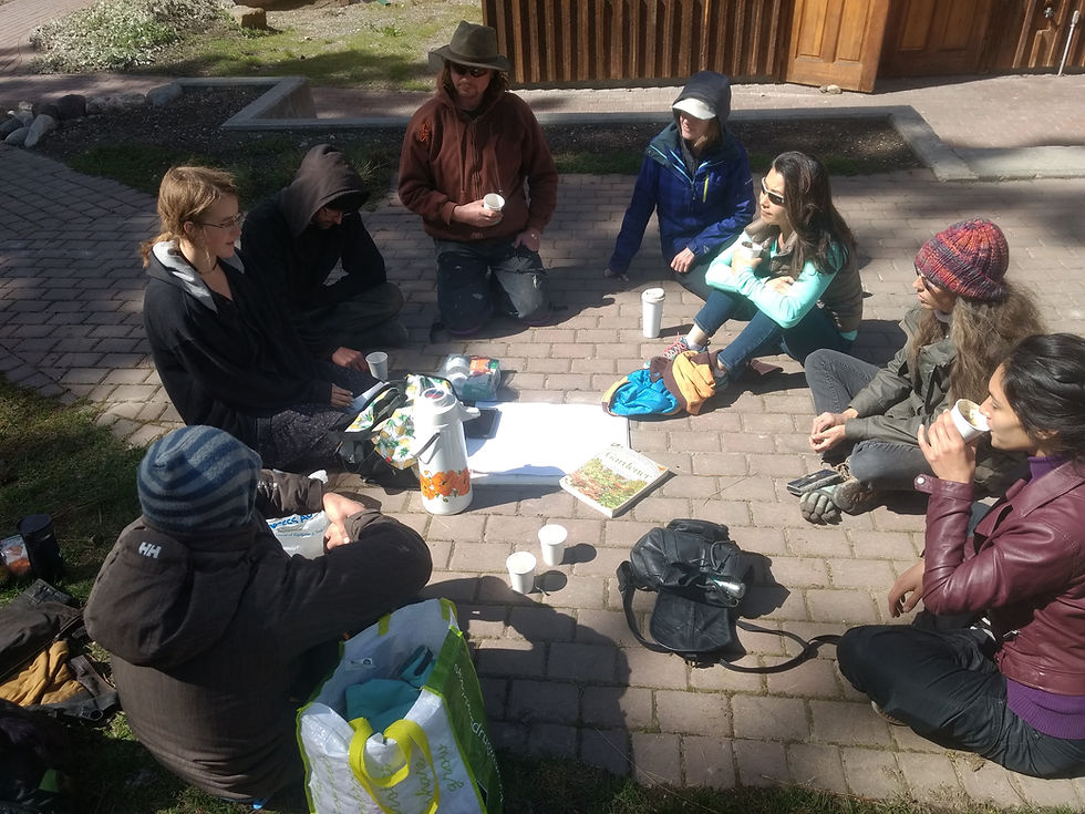 A group of people sit in a circle outside, sharing food and ideas
