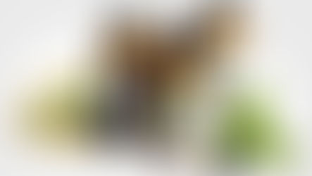 こだわりの商材。限られたサロンのみ取り扱いできるヘアケアetc