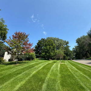 Lawn Care Gallery