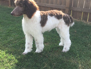 Welcome to our New Girl!