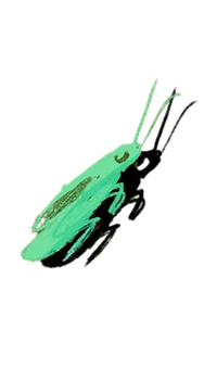 JEM Flyer Krabbeln.png