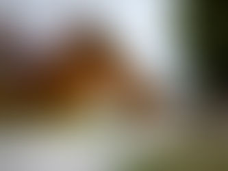 Grand Junction, Colorado Wedding Venues: The Ultimate Guide