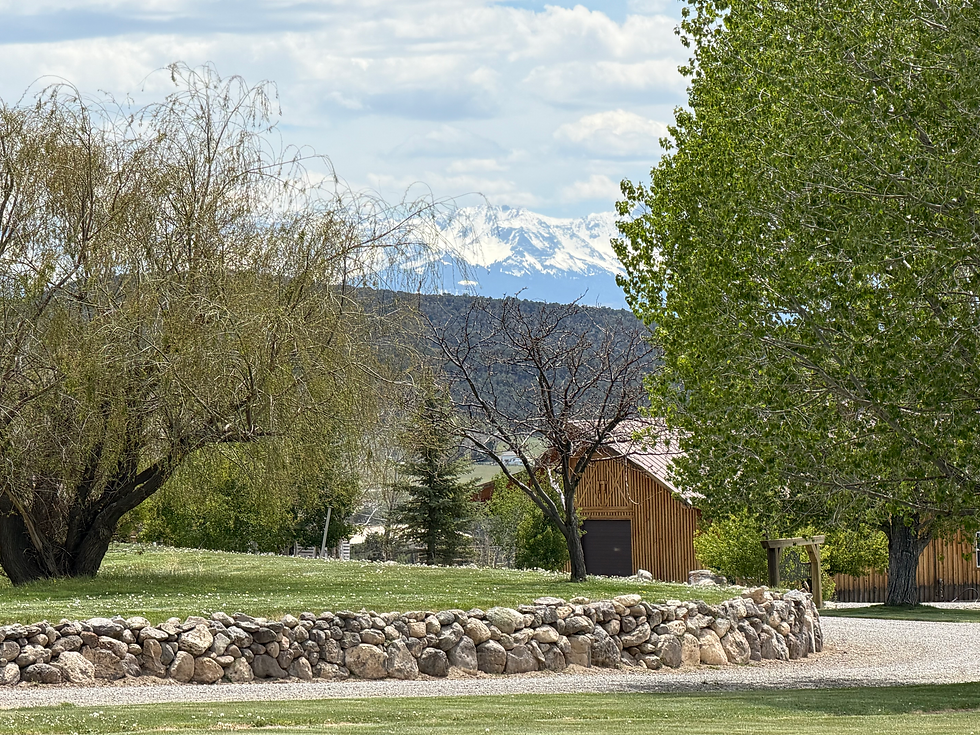 luxury barn wedding venue with mountain views near Ridgeway, Colorado