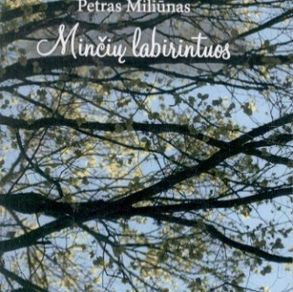 Minčių labirintuos